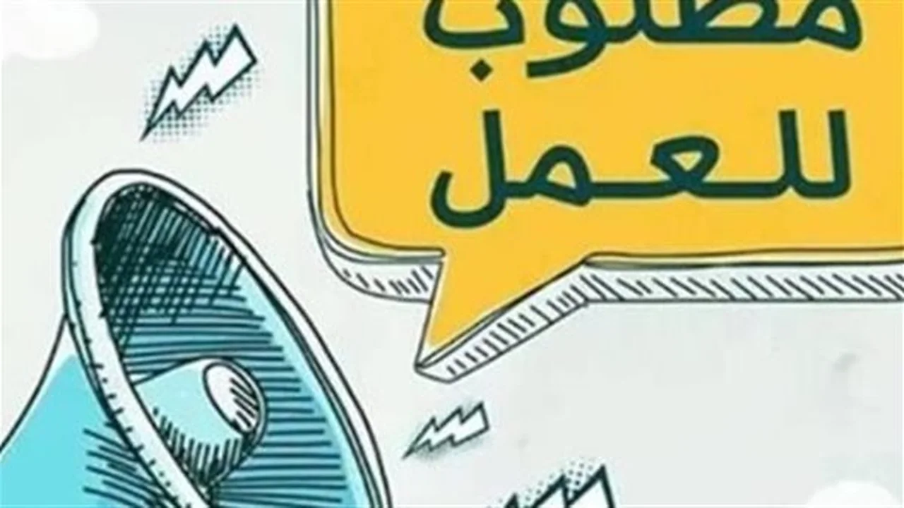فرص مهنية مثيرة.. 25 وظيفة للسائقين في ميناء دمياط الدولي